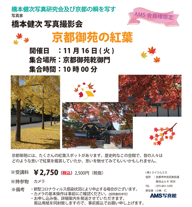 写真家 橋本健次写真研究会 京都御苑の紅葉開催日：2021年11月16日(火