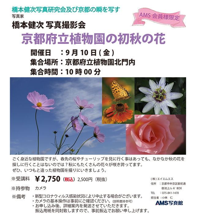 写真家 橋本健次写真研究会 京都府立植物園の初秋の花開催日 21年9月10日 金 京都 写真の総合館 Ams写真館