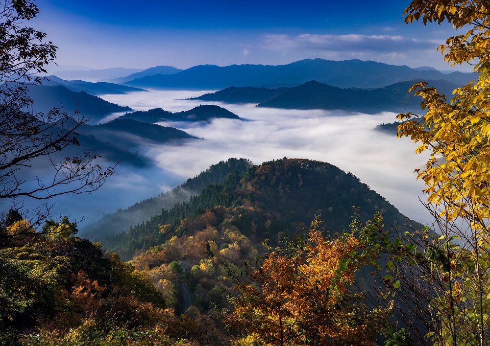 「晩秋小入谷の雲海と紅葉」駒井隆広64.jpg